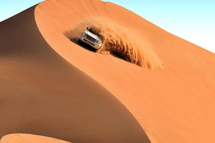 Safari privé d'une journée complète dans le quartier vide de Liwa avec déjeuner