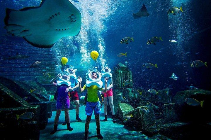 Safari parmi les requins à Atlantis, à Dubaï