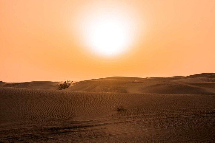 Sundowner Dune Safari Avec Dîner