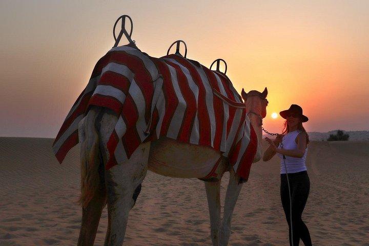 Dubai Sunset Camel Trekking avec dîner barbecue au camp VIP