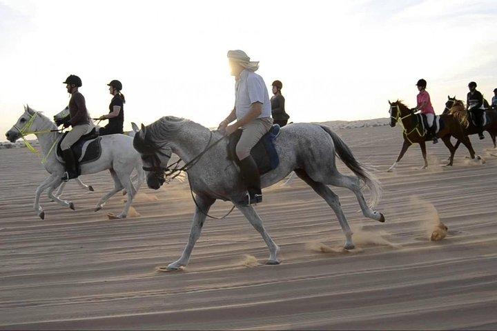 Équitation dans le désert de Dubaï avec transferts