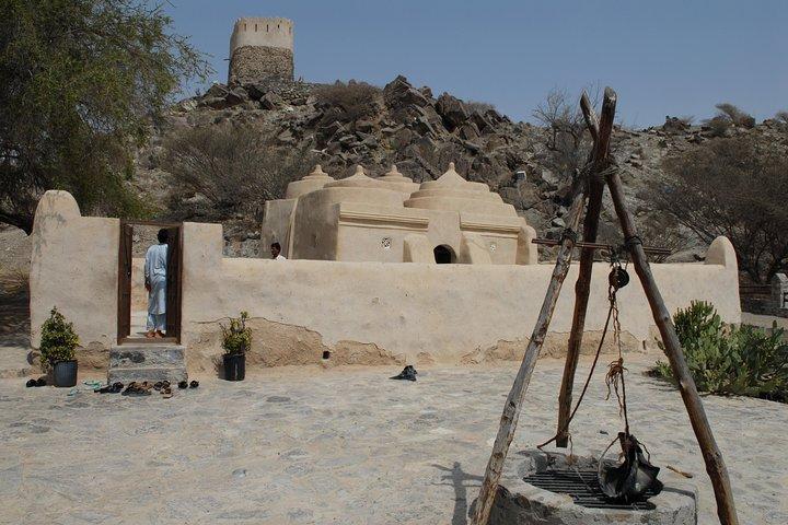 Excursion d'une journée à la côte est et à Sharjah depuis Dubaï