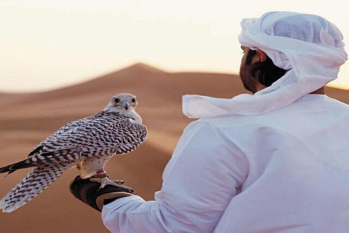 Expérience du désert d'Arabie à Dubaï