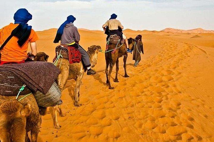 Promenade en quad en quad dans le désert de Red Dunes Safari Plus