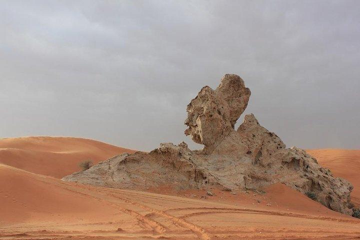Camel Rock Desert safari Dubai avec barbecue Dîner balade à dos de chameau sur sable, etc.