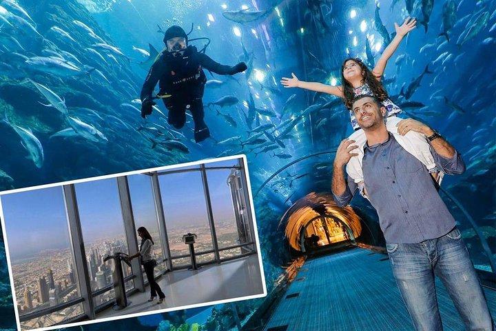 Aquarium de Dubaï et niveau 124 Burj Khalifa Combo