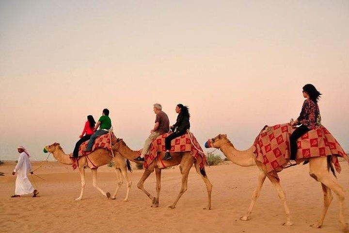 Dubai Desert Safari avec balade à dos de chameau et danse du ventre