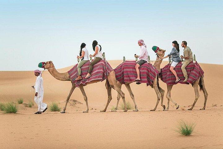 Safari dans le désert de Dubai Camel Rock avec Dune Bashing, barbecue et spectacle