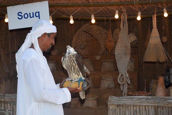 Safari dans le désert avec affichage BBQ Dinner_Falcon