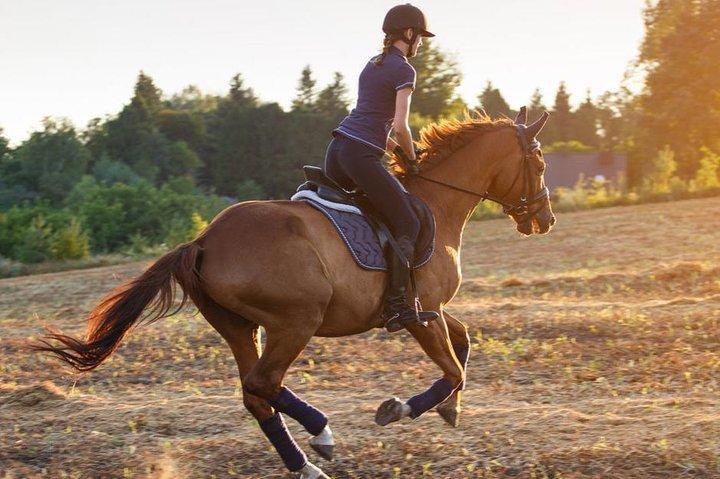 Randonnée à cheval dans le désert - 1 heure