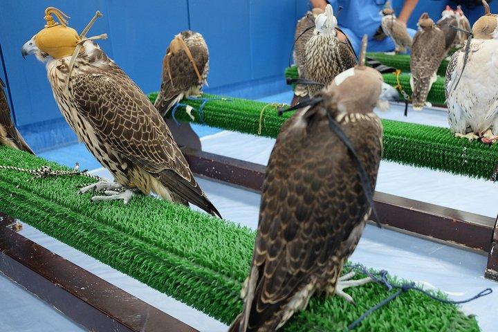 Visite guidée de l'hôpital Falcon Abu Dhabi