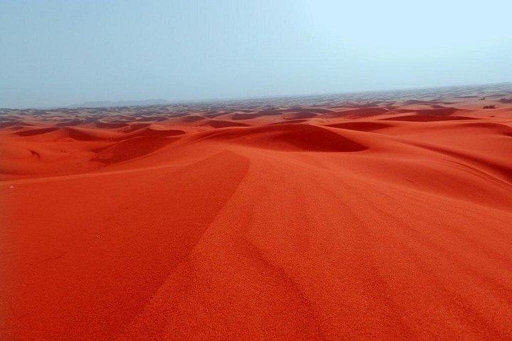 Une nuit de camping à Dubaï avec dîner en direct montre un safari à dos de chameau au camp de Majilis