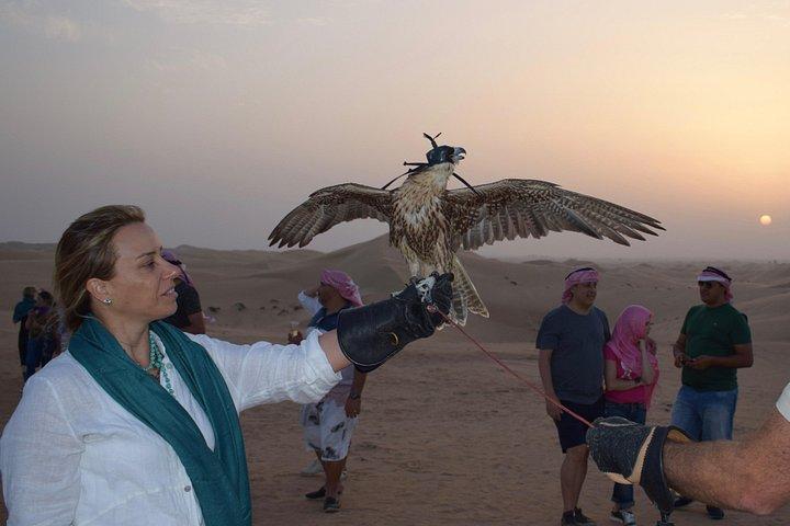 Safari dans le désert avec BBQ Dinner_Falcon show
