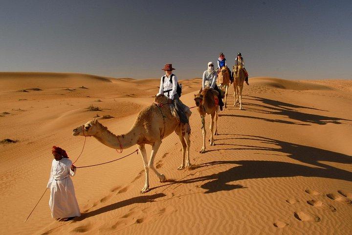Camel Trekking Dubai avec Morning Dune Bashing et Sand Boarding