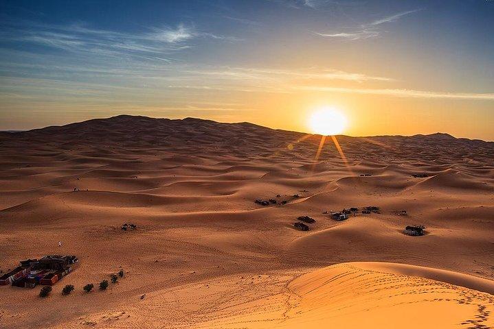 Safari dans le désert tôt le matin