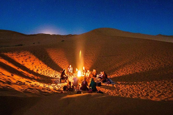Dubaï: Safari de nuit, dîner, promenade à dos de chameau et camp Al Royal