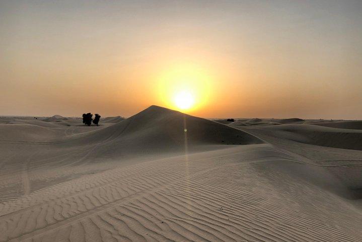 Visite du désert de Dubaï au lever du soleil