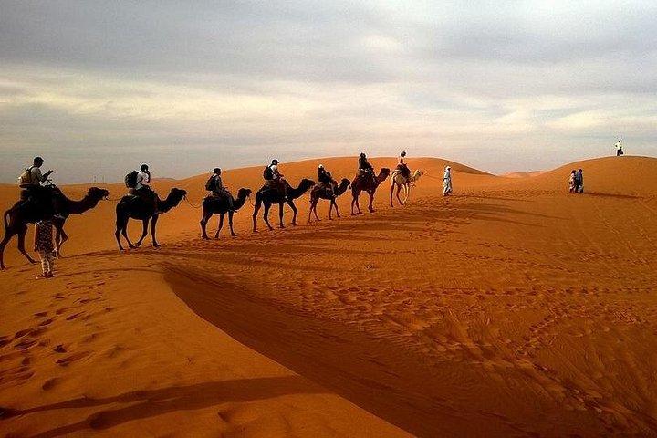 Safari premium dans le désert de Red Dune avec barbecue dîner 4X4 voiture