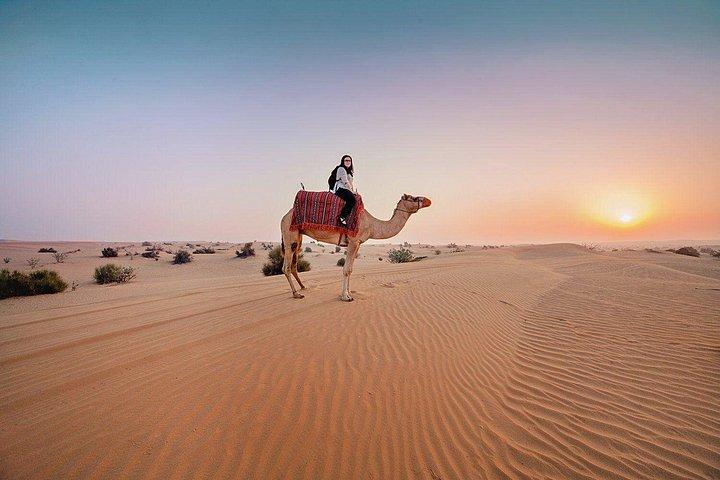 Camel Riding Dubai