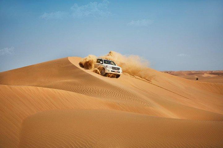 Private Abu Dhabi Safari De Dubaï avec dîner chaud au barbecue