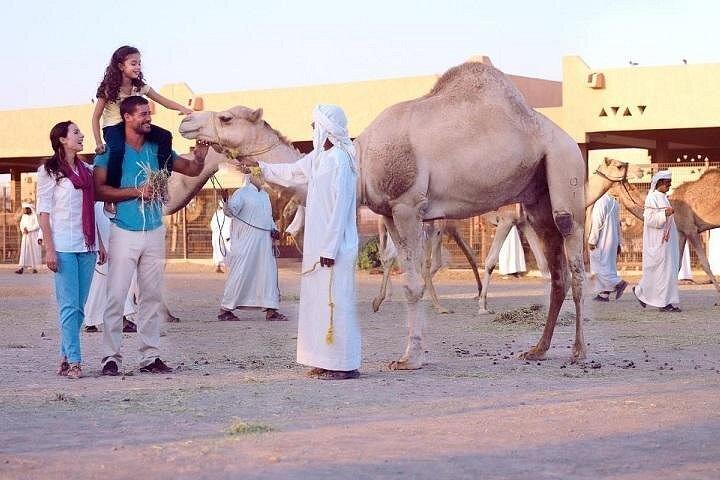 Tour de ville d'Al Ain au départ de Dubaï (activités de plein air)