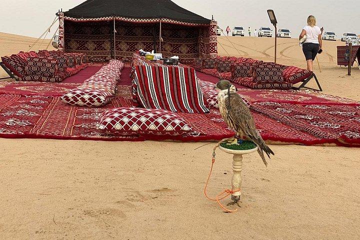 Visite privée du safari dans le désert