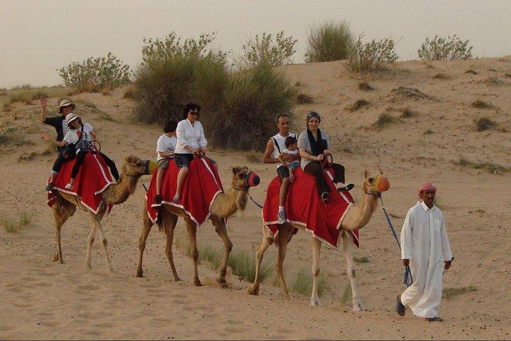Safari matinal dans le désert avec longue balade à dos de chameau