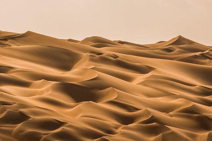 Excursion privée dans le désert avec Liwa et déjeuner à Abu Dhabi