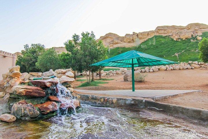 Visite privée: visite de la ville d'Al Ain avec déjeuner au départ de Dubaï