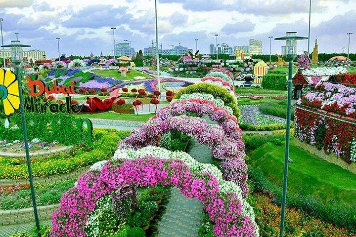 Visite privée du Dubai Miracle Garden avec transferts aller-retour