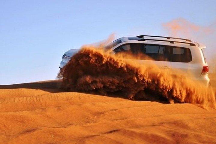 Safari privé dans le désert du matin
