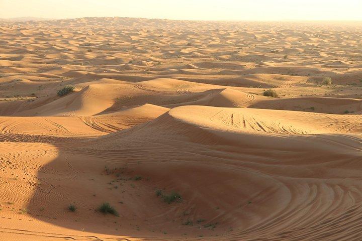 Safari dans le désert du matin sur les dunes rouges avec embarquement sur le sable et quad en option