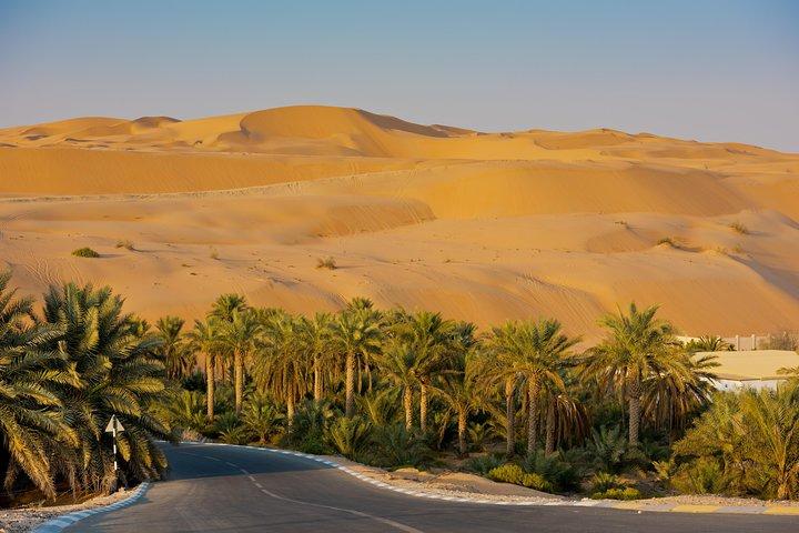 Safari privé d'une journée complète dans le désert de Liwa pour les couples