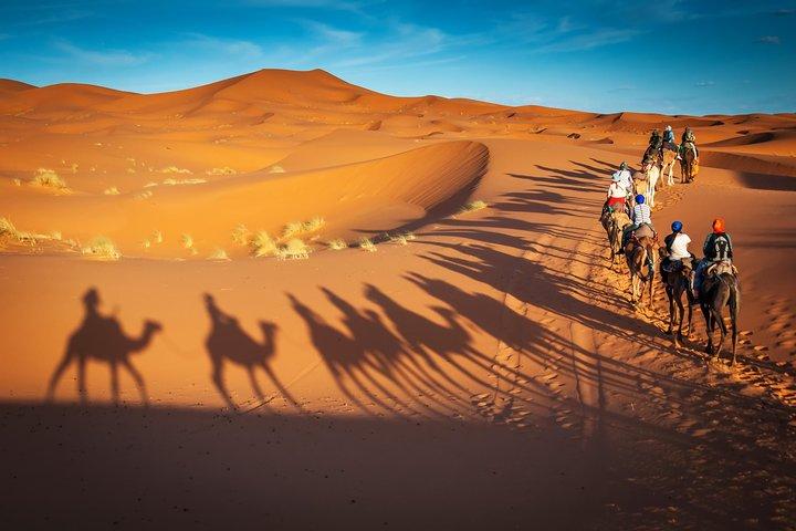 Safari privé dans le désert avec balade à dos de chameau