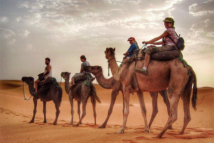 Randonnée à dos de chameau le matin avec frappage des dunes et embarquement sur le sable