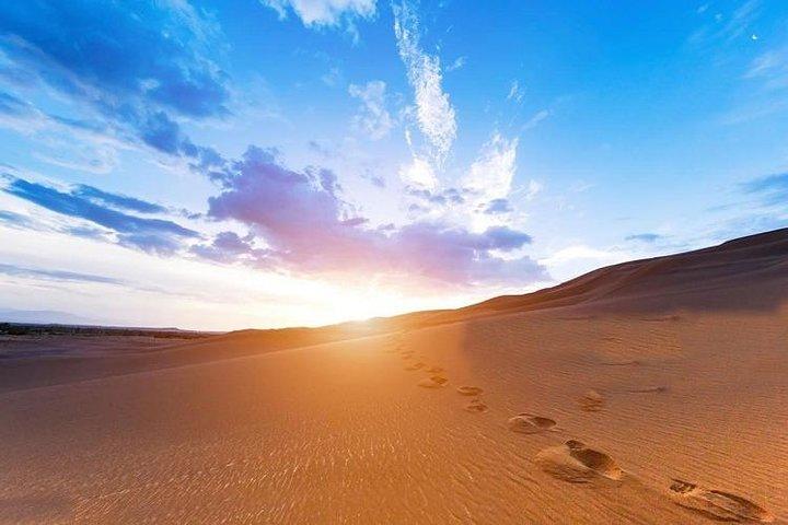 Sunrise Desert Safari