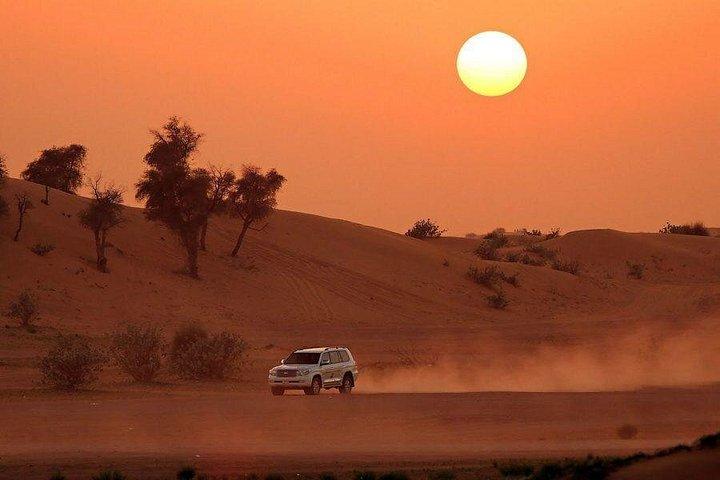 Dessert Safari [Avec dîner barbecue] [Voiture privée]