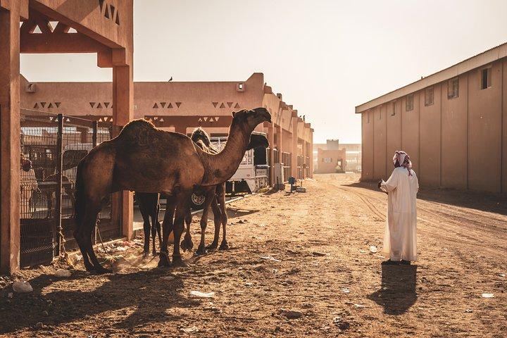 Al Ain: Un voyage romantique à travers des paysages emblématiques