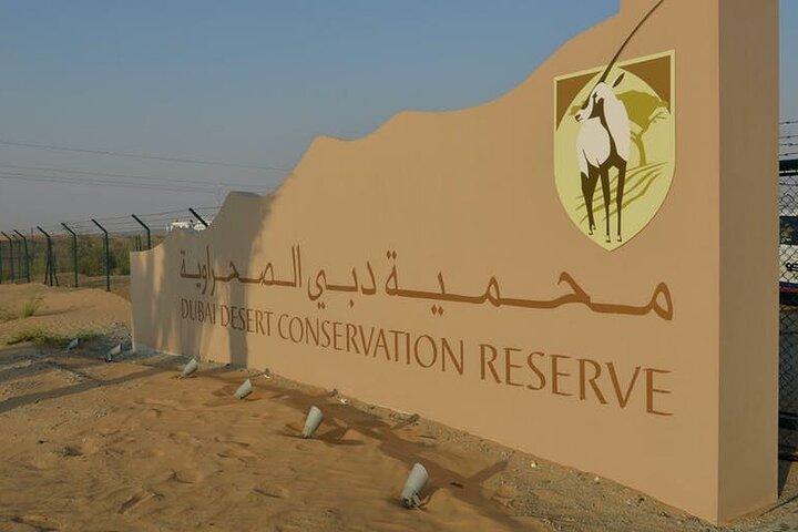 Safari matinal dans le désert avec transport depuis Dubaï