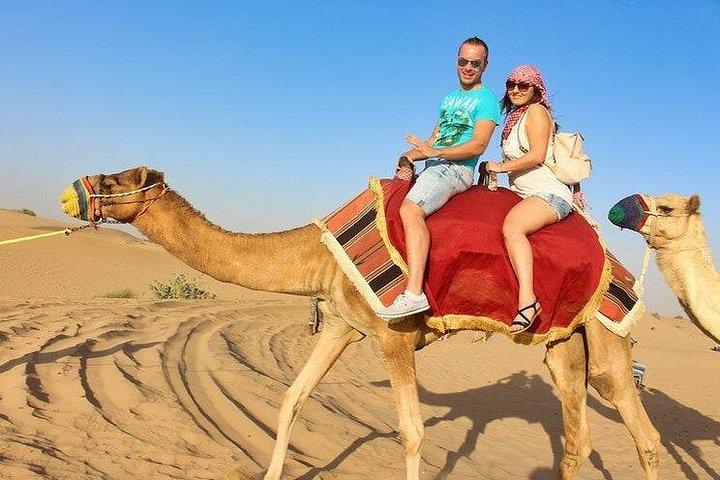 Incroyable safari dans le désert avec 7 spectacles de divertissement en direct et dîner barbecue à Dubaï