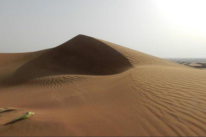 Profitez de la vue sur la montgolfière de Dubaï
