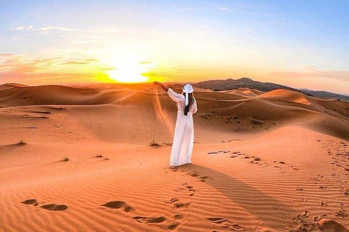 Safari dans le désert au lever du soleil | Dévastation des dunes | Visite d'une ferme de chameaux