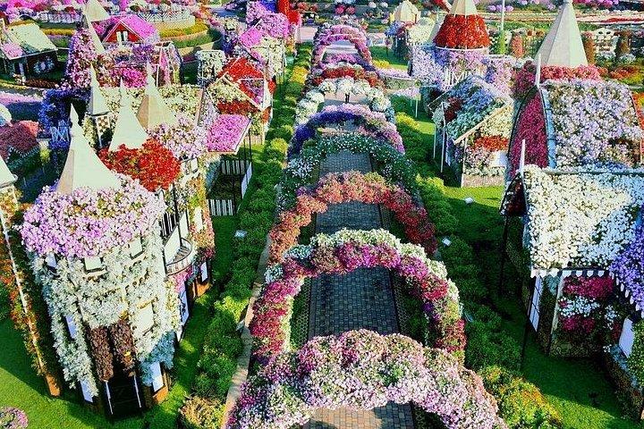 Dubai Miracle Garden et Butterfly Garden avec transferts privés