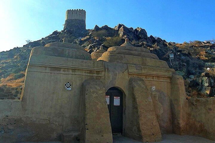 Visite guidée privée de la côte est des Émirats arabes unis