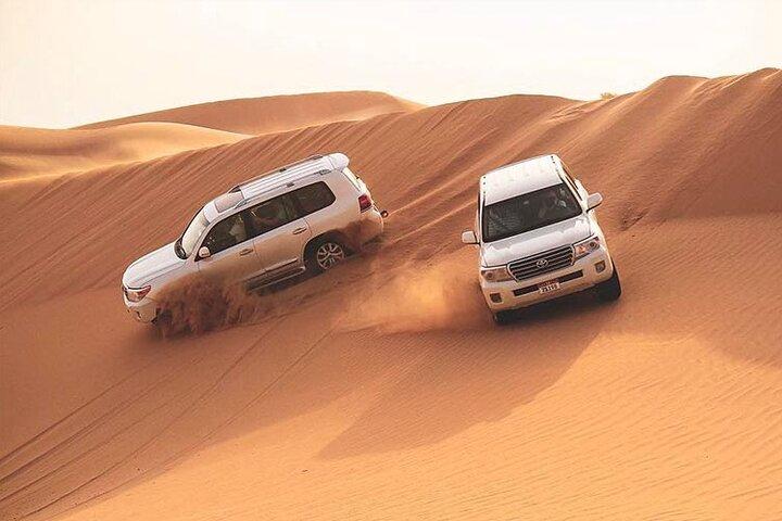 Safari dans le désert des Red Dunes de Dubaï avec spectacle en direct, sandboard et barbecue