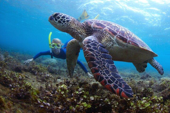 Activités de plongée en apnée et de sports nautiques à Fujairah Snoopy Island