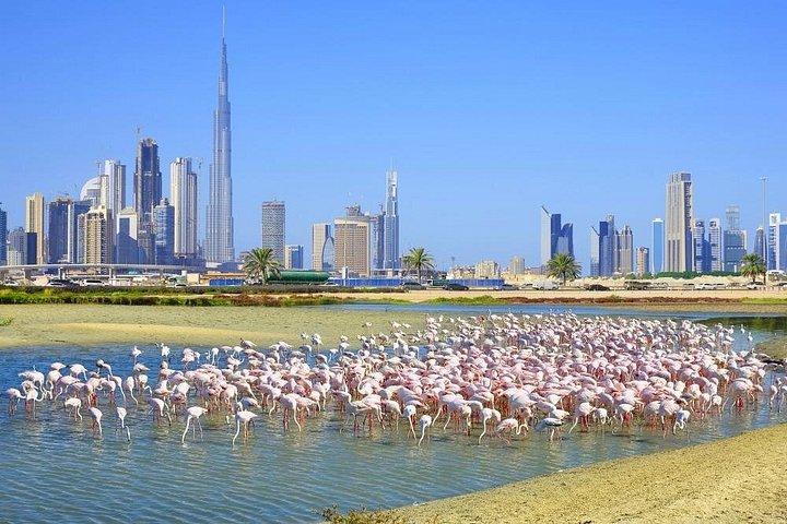 Charmante visite de la ville de Dubaï avec vue sur The Palm - Attraction touristique pittoresque