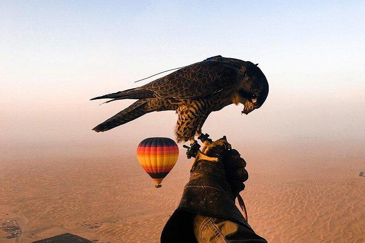 Profitez de l'incroyable désert de Dubaï en montgolfière avec Falcon Show et Camel