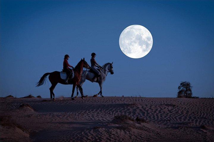 Équitation à la pleine lune à Dubaï