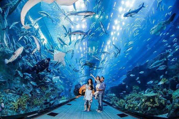 Aquarium du centre commercial et zoo sous-marin